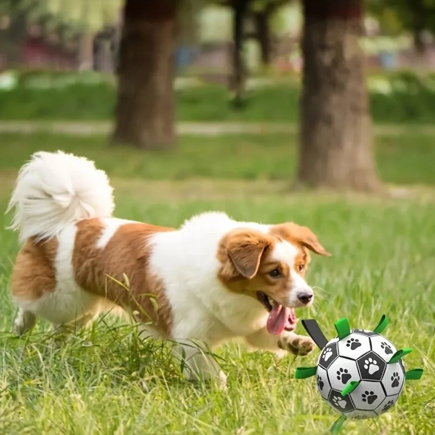 Durable Dog Soccer Ball with Handles – TugBounce