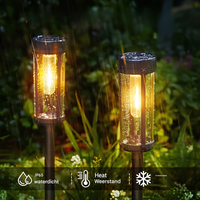 Solar-Powered Garden Torch - SolarFlare