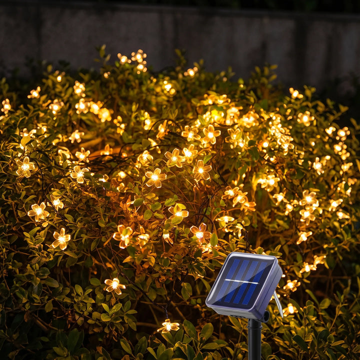 Solar Outdoor String Lights - Blossomray
