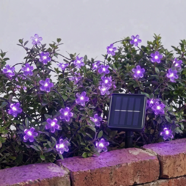 Solar Outdoor String Lights - Blossomray