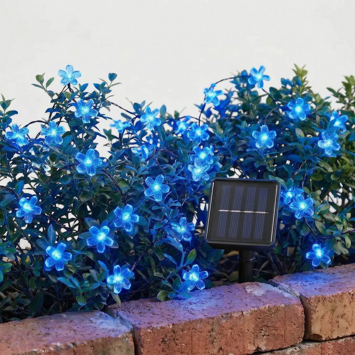 Solar Outdoor String Lights - Blossomray