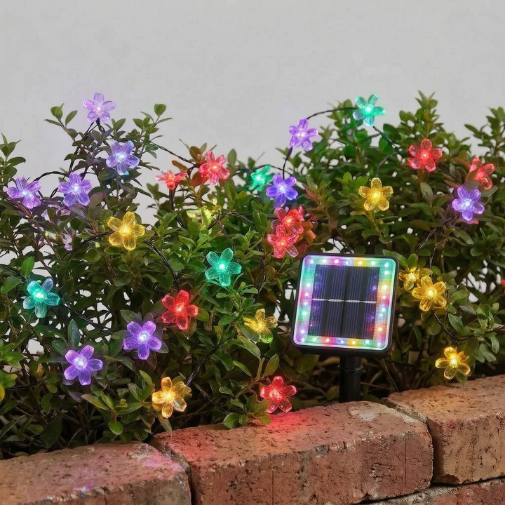 Solar Outdoor String Lights - Blossomray