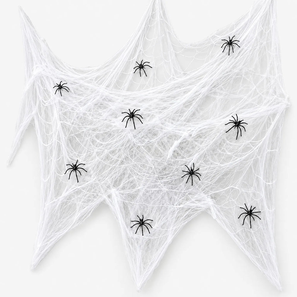 Spider Web Decoration - Arachnode