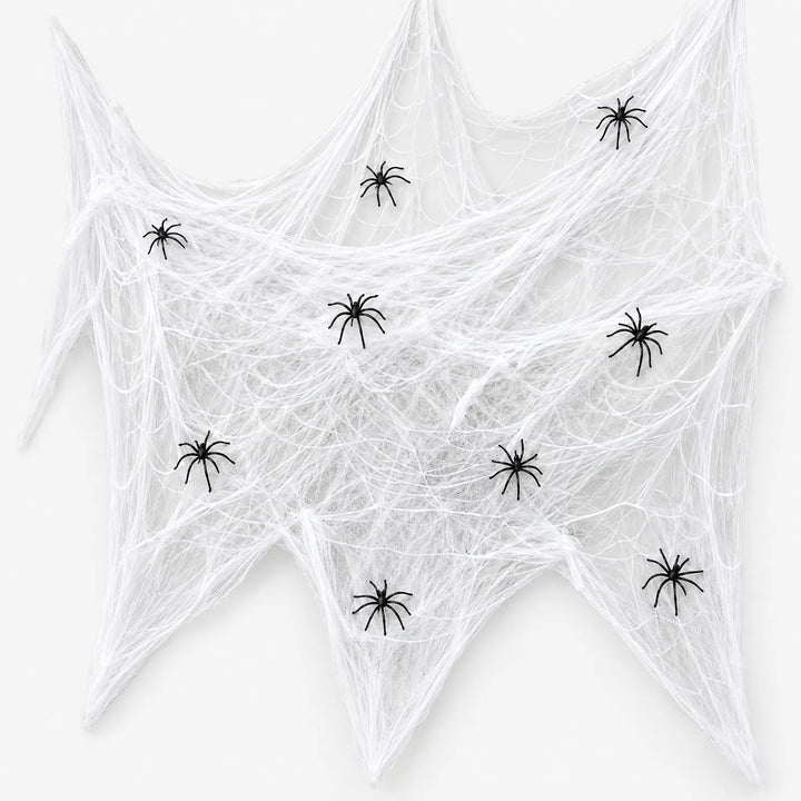 Spider Web Decoration - Arachnode