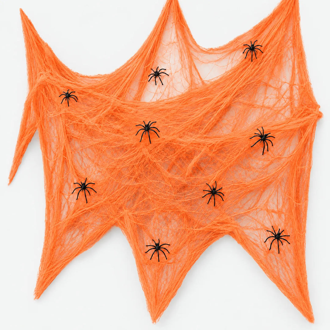 Spider Web Decoration - Arachnode