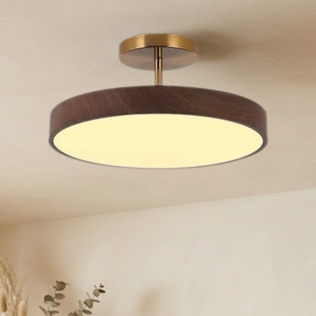 Schuin aanzicht van de brandende lamp met donkere houtlook rand en goudkleurige steun, aan het plafond naast gedroogde planten. 3