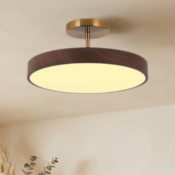 Schuin aanzicht van de brandende lamp met donkere houtlook rand en goudkleurige steun, aan het plafond naast gedroogde planten. 3
