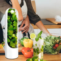 Herb Storage Box - FreshKeep