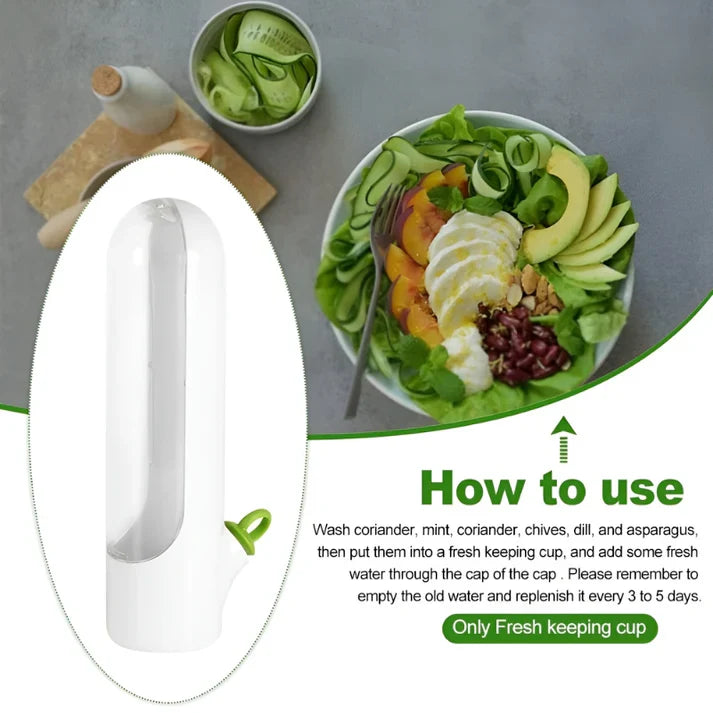 Herb Storage Box - FreshKeep
