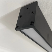 Przemysłowa liniowa lampa sufitowa LED - Stratum
