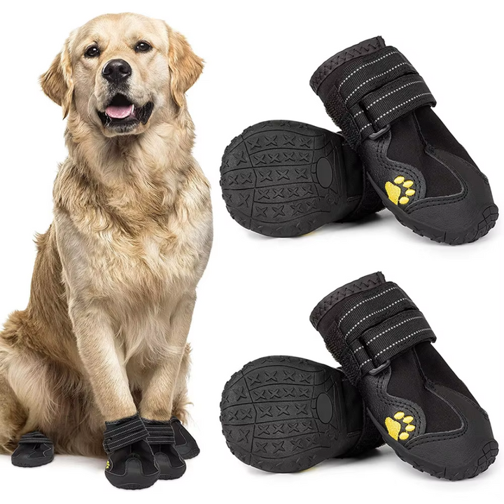 All-Weather Dog Boots for Safe Adventures