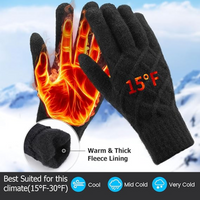 Thermally Knitted Touchscreen Winter Gloves – ArcticTap