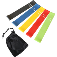 Set of Resistance Bands – 5 Bands with Guide and Storage Bag
