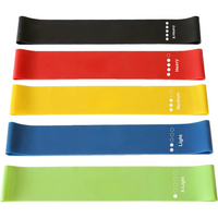 Set of Resistance Bands – 5 Bands with Guide and Storage Bag