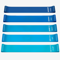 Set of Resistance Bands – 5 Bands with Guide and Storage Bag