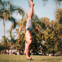 Heavy Wooden Push-Up Handles - Non-Slip Parallettes Bars