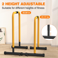 Heavy Dip Station & Push-Up Stand for Home Fitness