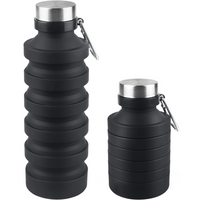 Foldable Shockproof Water Bottle