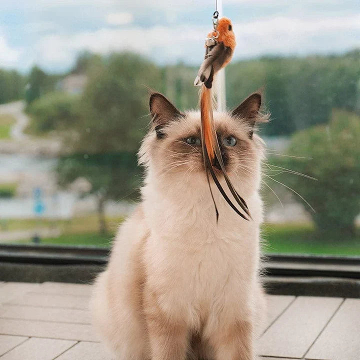 Interactief Kattenspeeltje - FlutterVriend