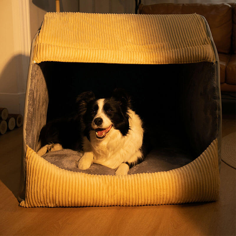 Comfortabele Hondententbed - CozyCave