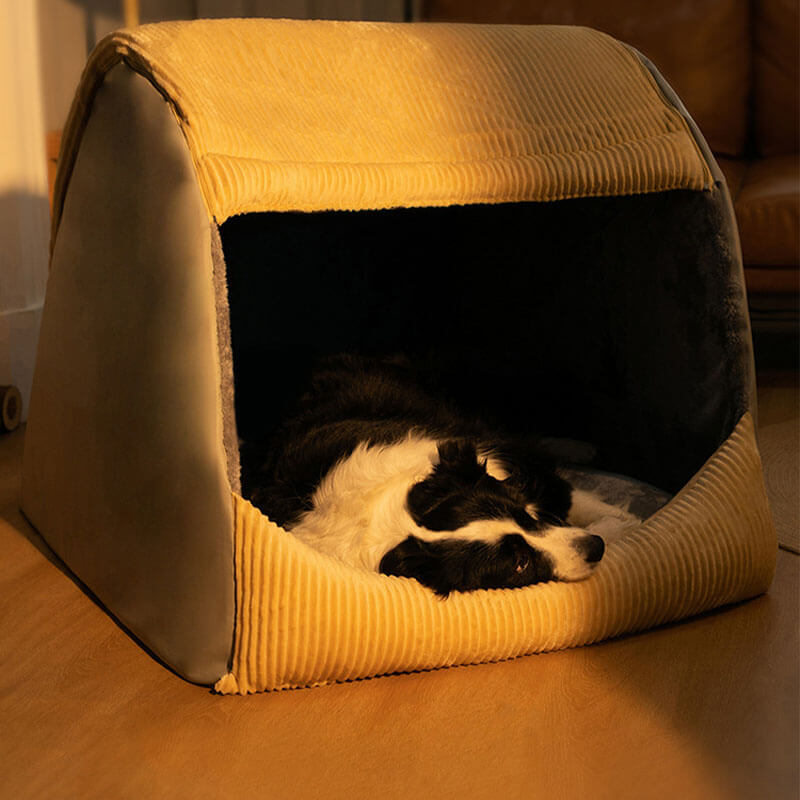 Comfortabele Hondententbed - CozyCave