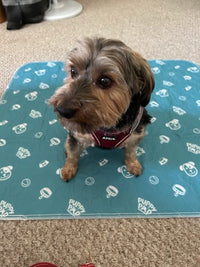 Leakproof Pet Mat - PetPaws Comfortmat