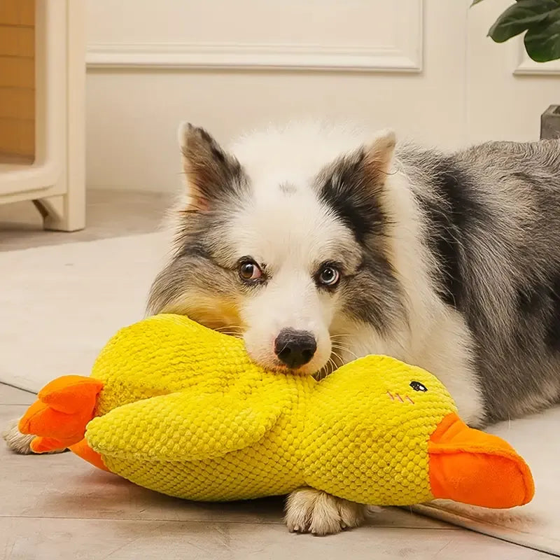 Interaktywna zabawka dla psa z dźwiękiem i czyszczeniem zębów - FlappyDuck