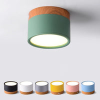 Morandi Style Modern LED Ceiling Lamp - LumiModo
