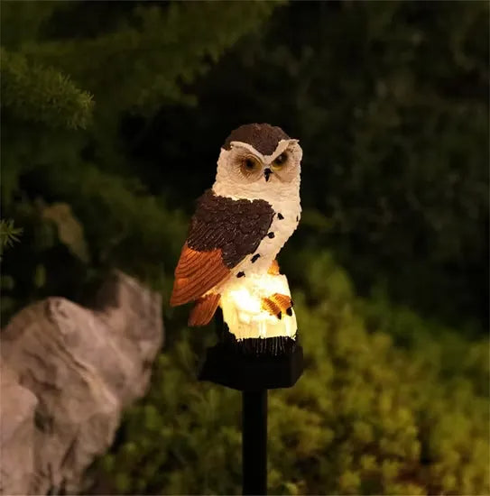 Bruinwitte uil met donkerbruine rug en oranje vleugelpunten, 's avonds verlicht in de tuin naast een grote steen. 7
