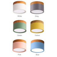 Morandi Style Modern LED Ceiling Lamp - LumiModo