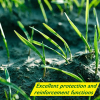 Biodegradable Grass Seed Mat - Verdi