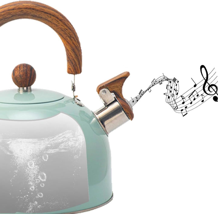 RVS Waterkoker met Fluit – Kavana