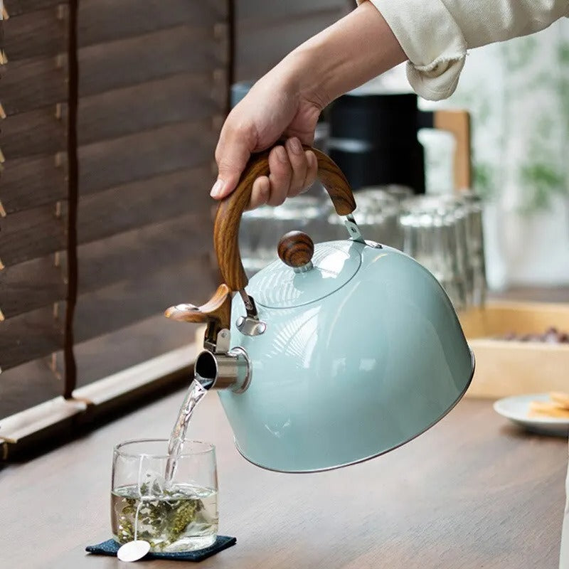 RVS Waterkoker met Fluit – Kavana