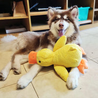 Interaktywna zabawka dla psa z dźwiękiem i czyszczeniem zębów - FlappyDuck