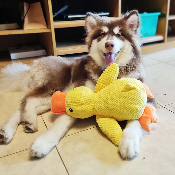 Interaktywna zabawka dla psa z dźwiękiem i czyszczeniem zębów - FlappyDuck