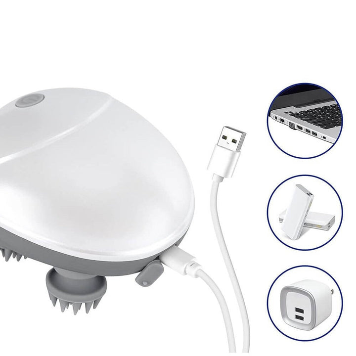 Elektrische Massager voor Huisdieren en Mensen - PurrEase