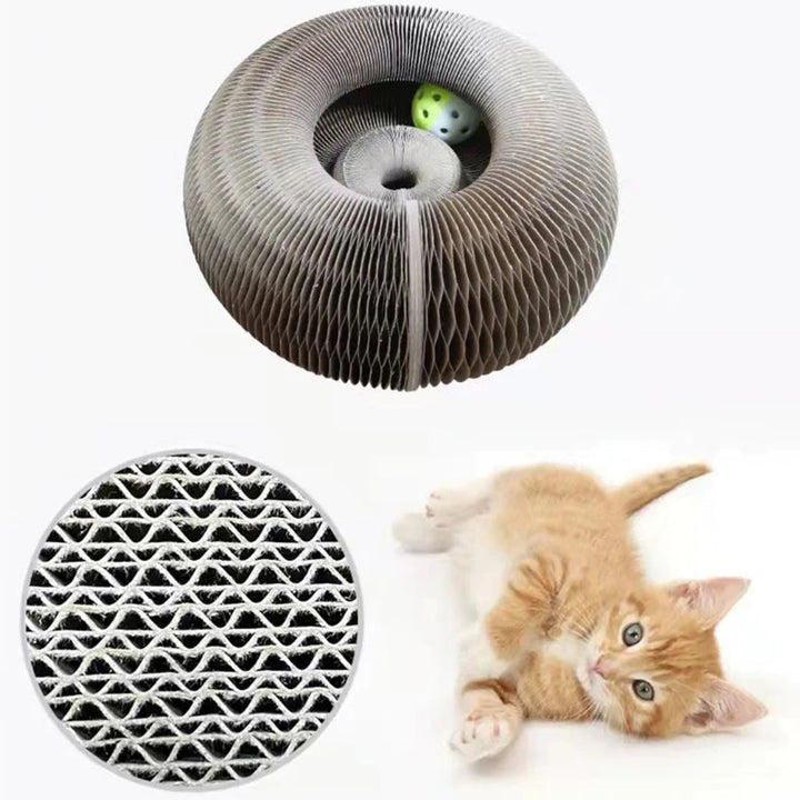 Aktywna zabawa dla twojego kota - PurrFit
