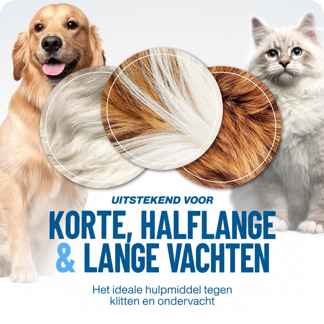 Golden retriever en langharige witte kat met drie close-ups van vacht, voor korte, halflange en lange vachten. 5