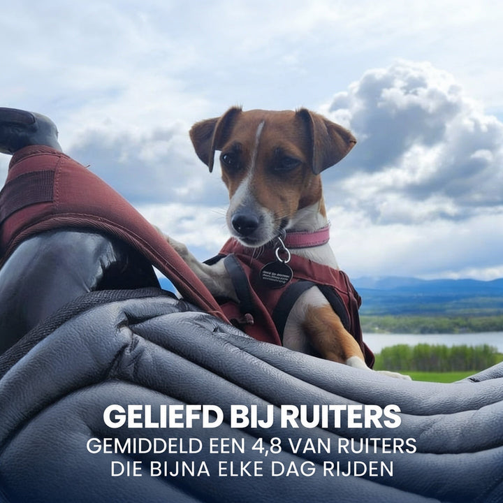 Jack Russell-hondje in rood jasje leunt op een grijs gewatteerd zadelkussen, met bergen op de achtergrond 7