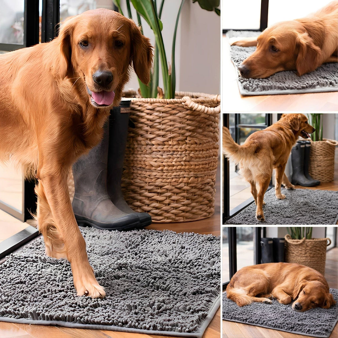 Collage van een rode retriever die over de grijze mat loopt, erop ligt en slaapt, bij laarzen en een rieten mand. 5