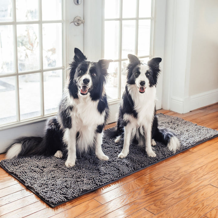 Twee zwart-witte border collies zitten op de grijze mat voor een glazen deur op een houten vloer. 10