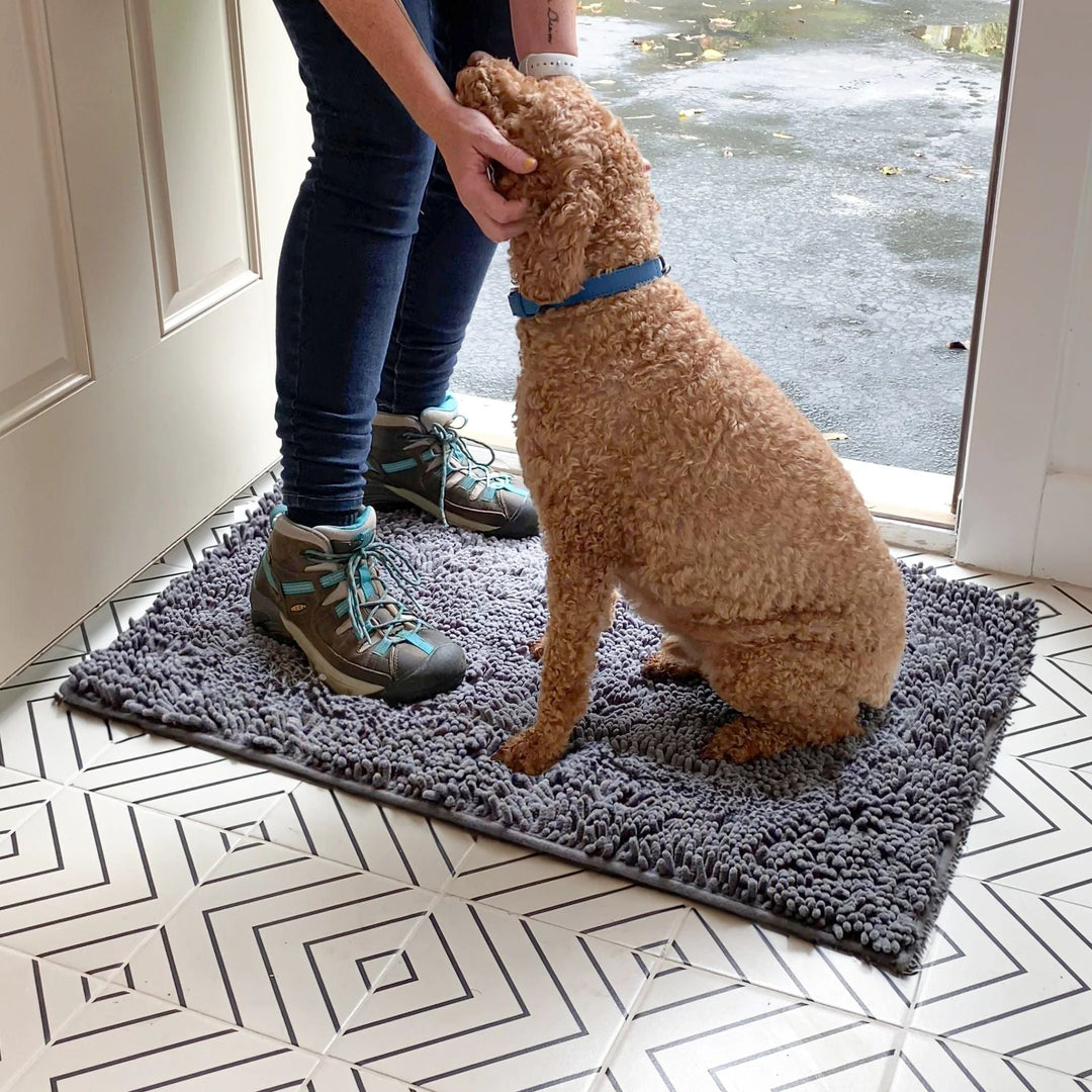 Vrouw in wandelschoenen aait een krullende hond die op de grijze mat in de gang zit, bij de open deur. 11