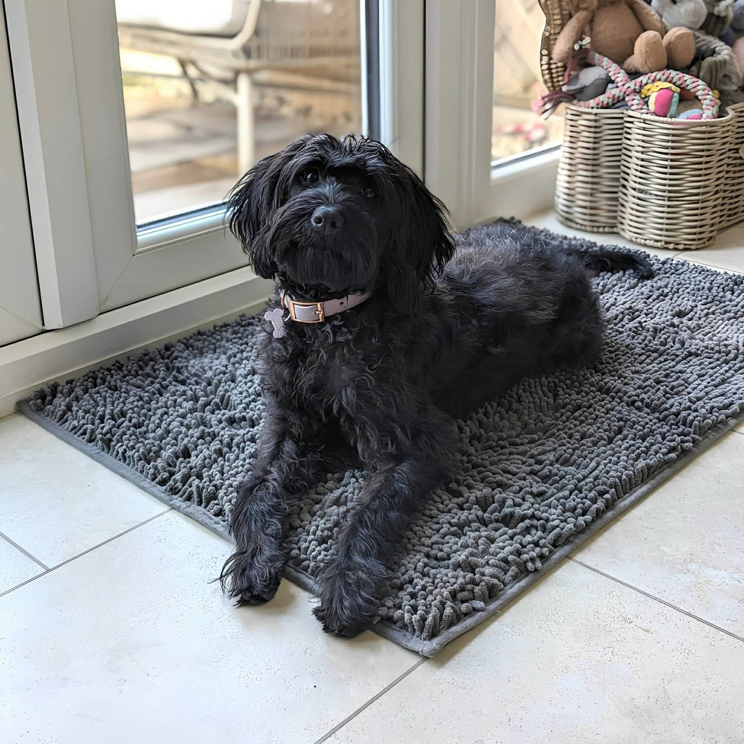 Zwarte hond met roze halsband ligt op de grijze mat op een tegelvloer naast een deur en een mand speelgoed. 3