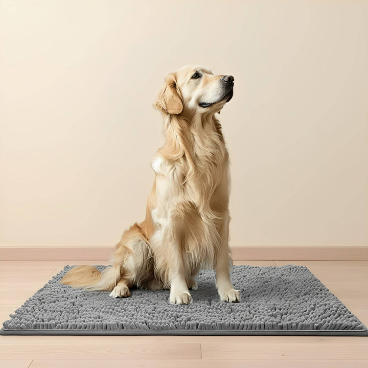 Golden retriever zit rechtop op een grijze chenille mat op een houten vloer voor een beige muur. 1