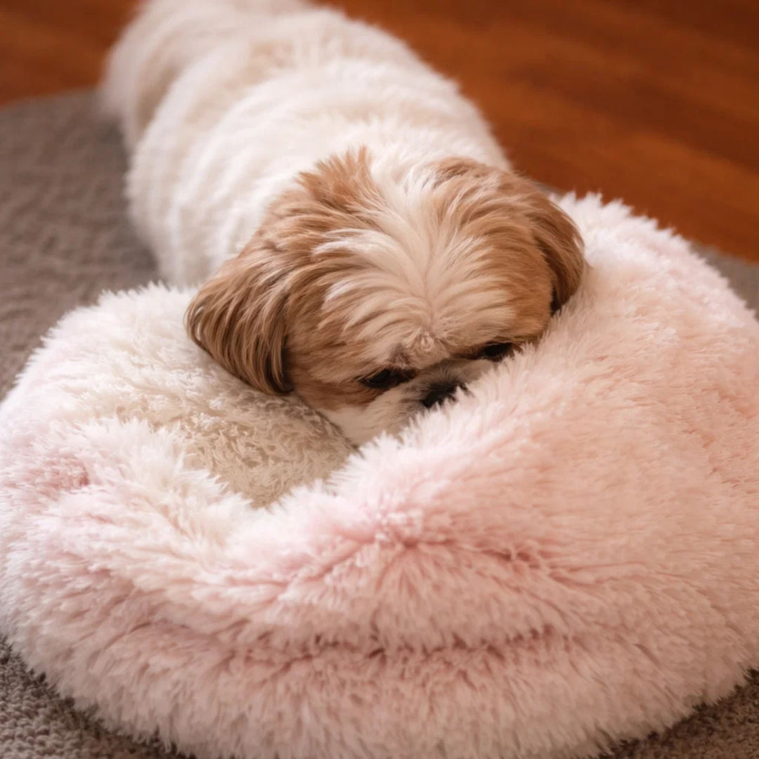 Shih tzu legt zijn kop rustend op de dikke rand van een roze pluchen donutbed. 12