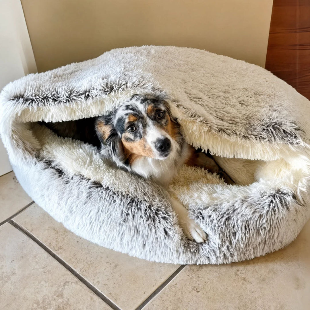 Border collie-achtige hond gluurt onder de opgetilde kap van het grijze holbed, dat op een tegelvloer staat. 7