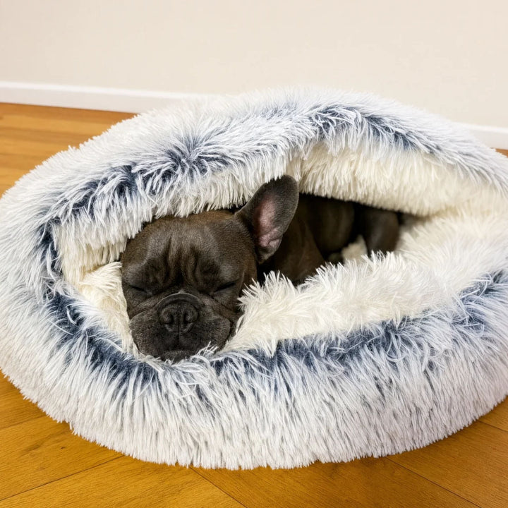 Donkere Franse bulldog slaapt opgerold onder de pluchen kap van het holbed, met witte vacht en donkerblauwe toppen. 2