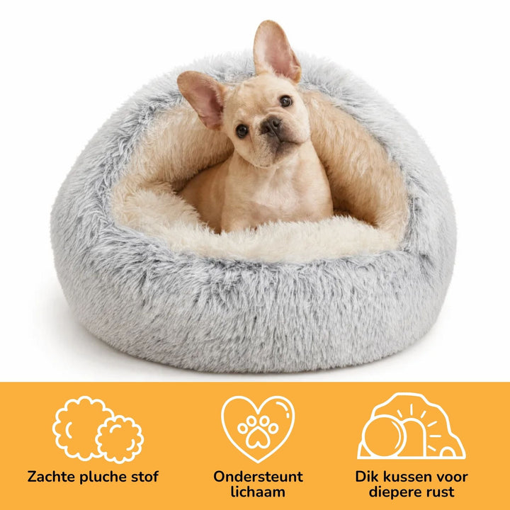 Franse bulldog zit in het grijze holbed op witte achtergrond, met drie kenmerken eronder over stof, steun en dik kussen. 4