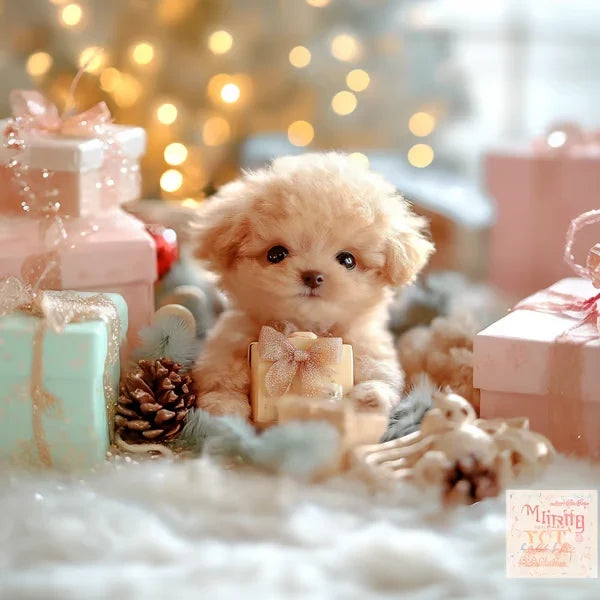 Perzikkleurig pluchen puppy zit tussen roze en mintgroene cadeaudozen, een dennenappel en pluche knuffels op een wit tapijt. 4