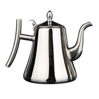 Induction Stainless Steel Kettle with Filter - AquaSteel